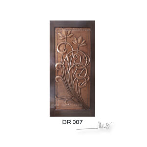 Beautifully design luxury doors for homes