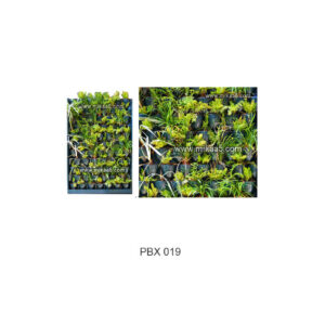 Green Oasis with Planter Box